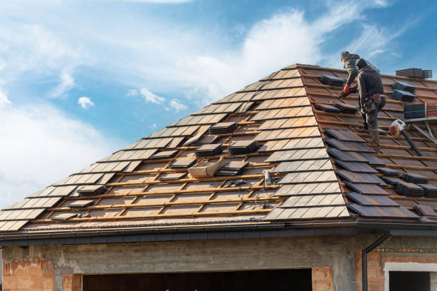 Best Roof Leak Repair  in Orchard Homes, MT